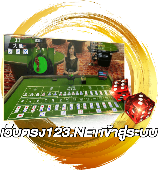 เว็บตรง123.NETเข้าสู่ระบบ